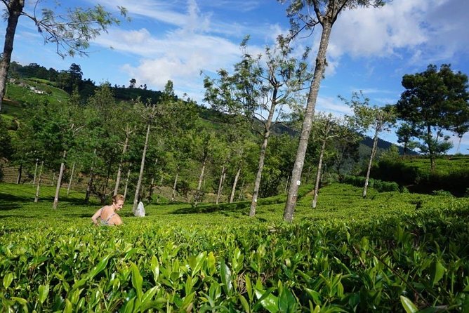 Day Tour of Nuwara Eliya - What the $45 price really gives you