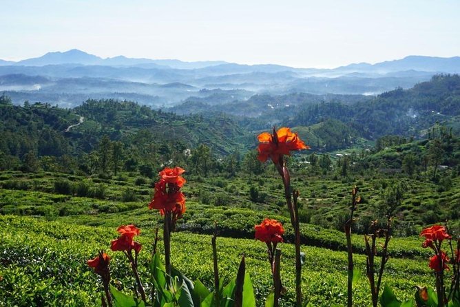 Day Tour of Nuwara Eliya - Handling rain and the long return to Kandy