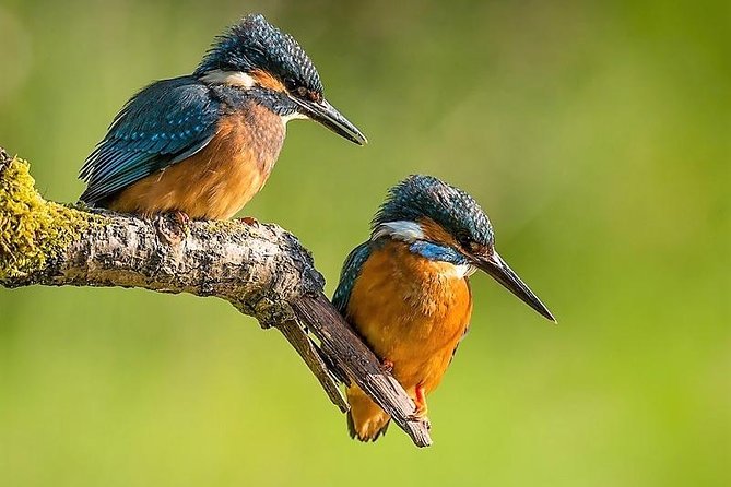 Day Tour to Anawilundawa Wetland Sanctuary - Four things to know before you book