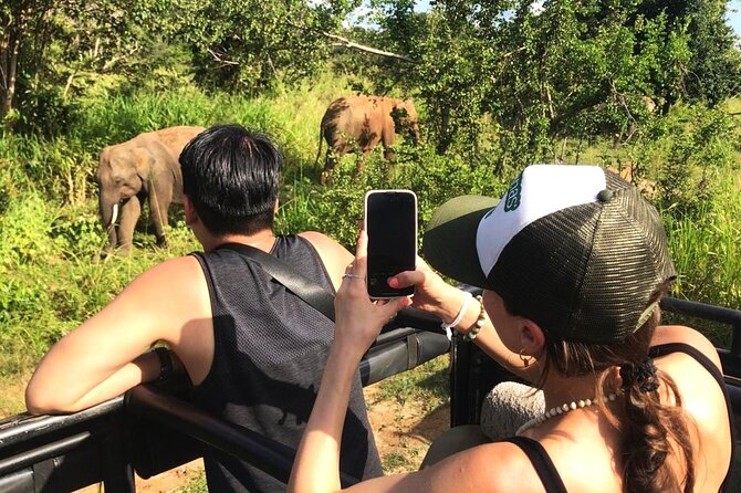 Day Tour to Dambulla, Sigiriya and Safari from Kandy (Group Tour) - Three hours among elephants at Minneriya