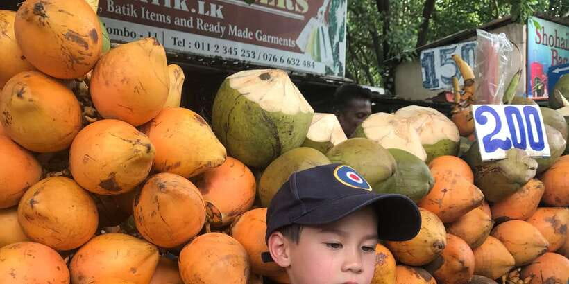 Day Tour to Elephant Orphanage / spice garden - The optional milk, food, and photo moments