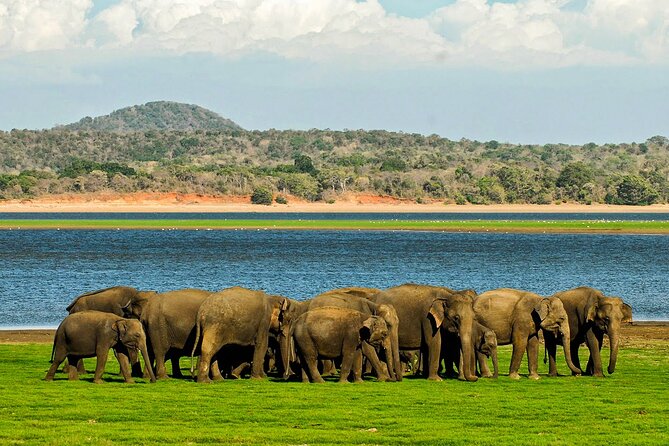 Day tour to Minneriya National Park,Sigiriya & Dambulla from Kandy - Sigiriya Rock: the day’s big climb