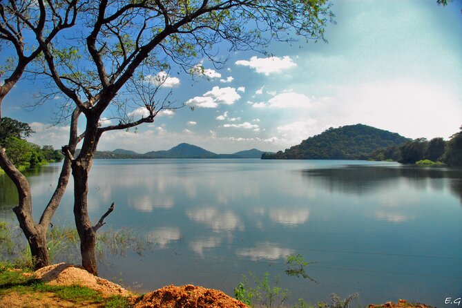 Day tour to Minneriya National Park,Sigiriya & Dambulla from Kandy - The guides and drivers can make or break the day