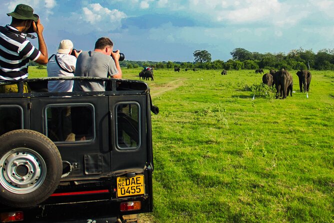Day tour to Minneriya National Park,Sigiriya & Dambulla from Kandy - Matale Hindu Temple: a short cultural stop