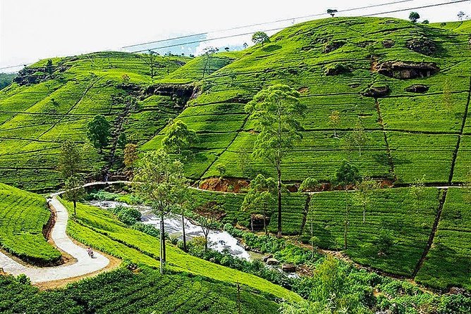 Day Tour to Nuwara Eliya from Kandy by Lux Tours Lanka - Key Points to Know Before You Go