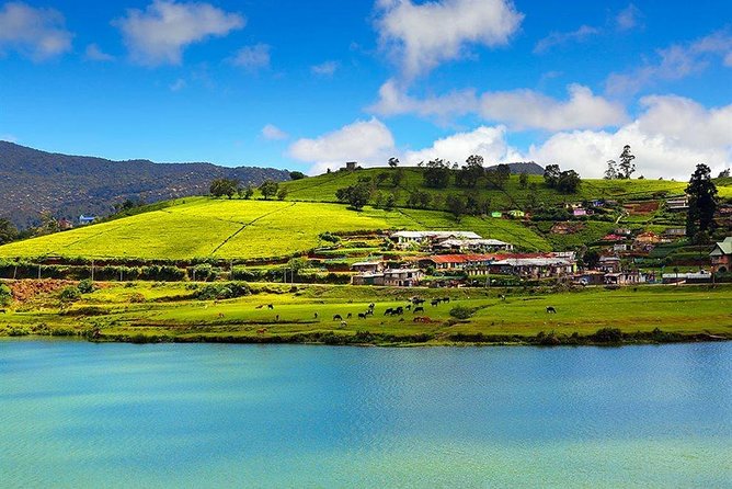 Day Tour to Nuwara Eliya from Kandy by Lux Tours Lanka - Gregory Lake: Recreation, Views, and a Bit of Noise