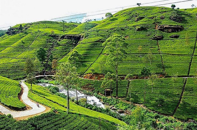 Day Tour to Nuwara Eliya from Kandy by Lux Tours Lanka - Ramboda Waterfall: The Best Short Stop