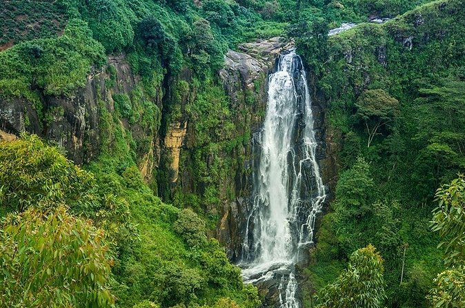 Day Tour to Nuwara Eliya from Kandy by Lux Tours Lanka - Victoria Park: A Trim Green Pause in Town