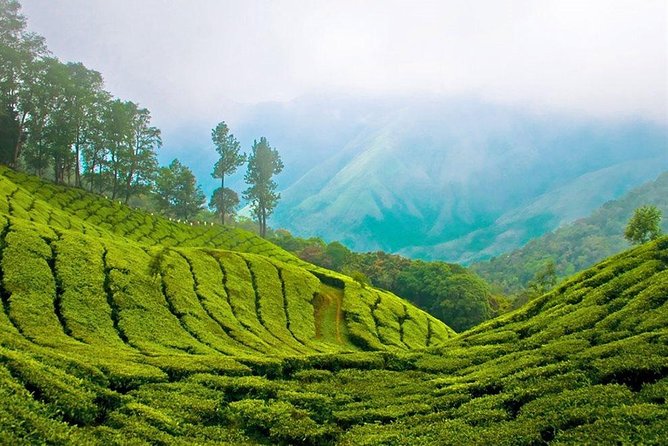 Day Tour to Nuwara Eliya from Kandy by Lux Tours Lanka - Hakgala Botanic Gardens: Flowers with an Extra Cost