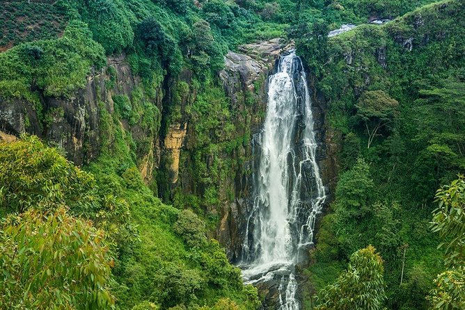 Day Tour to Nuwara Eliya from Kandy by Lux Tours Lanka - Is $160 Fair for the Day?
