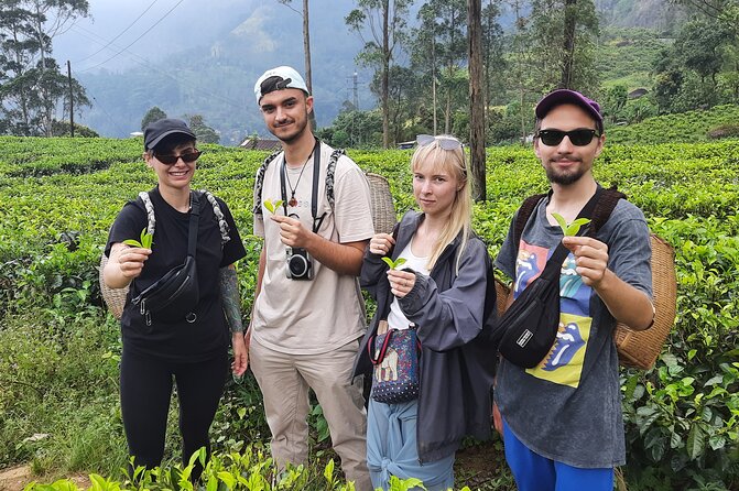 Day tour to Nuwareeliya (Little England) from Kandy - Ramboda Waterfall: a worthwhile walk with a practical warning