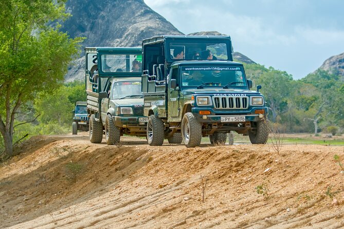 Day Tour to Wilpattu National Park from Colombo - Key Points Before You Book