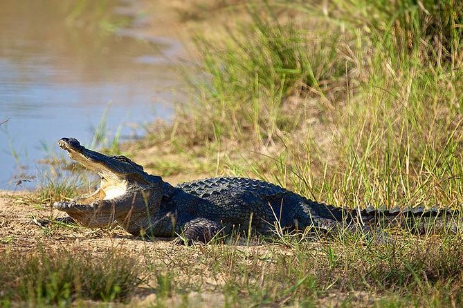 Day Tour to Wilpattu National Park from Colombo - Meals, Drinks, and What to Pack