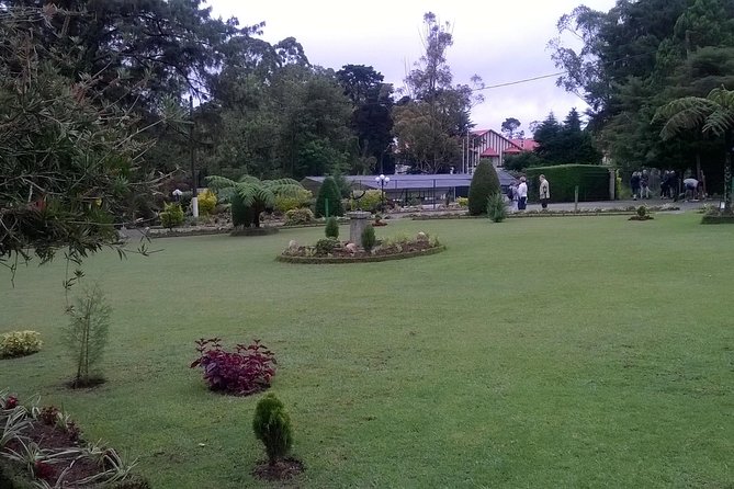Day Trip to Nuwara eliya from Kandy - Gregory Lake: open space in the center of tea country