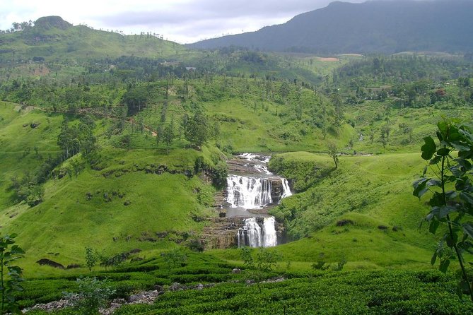 Day Trip to Nuwara Eliya with Kingfisher Tours - Gregory Lake, boats, and a short break in Nuwara Eliya