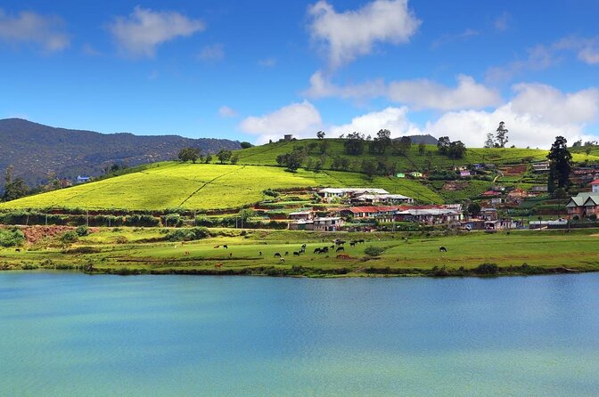 Day Trip to Nuwara Eliya with Kingfisher Tours - The gem museum stop in Kandy