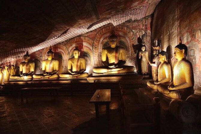 Day Trips from Kandy to Sigiriya with Village Experiences - The herbal garden question