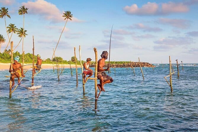 Day trips to Galle from colombo Visiting Its Highlights - Key points to know before booking