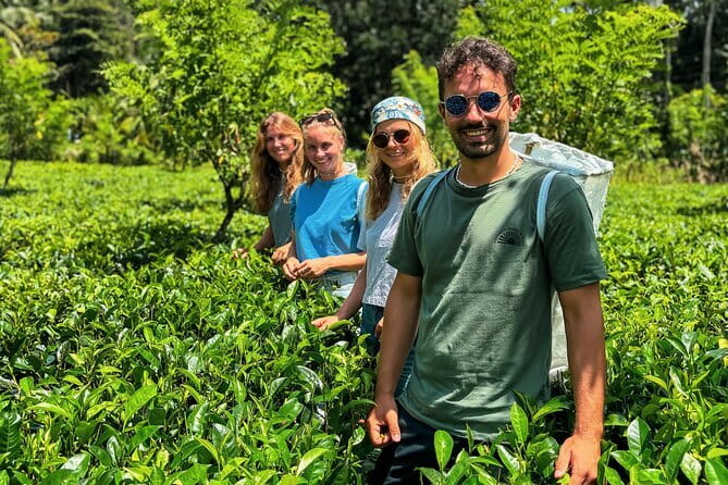 Dediyagala Village Tour(from Galle, Mirissa, Ahangama, Matara) - Key things to know before booking