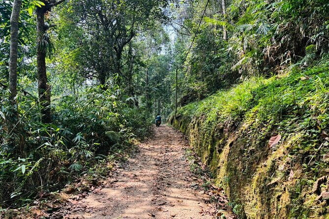 Dediyagala Village Tour(from Galle, Mirissa, Ahangama, Matara) - Optional tea and kithul treacle factories