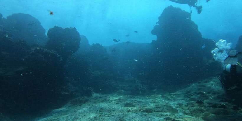 Discover Scuba Diving : Hikkaduwa : Scuba Diving - Getting familiar with the equipment