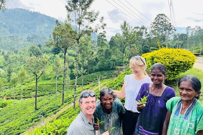 Discover Sri Lanka with Tailored Tours for Timeless Memories - Ella brings mountain scenery and a faster pace