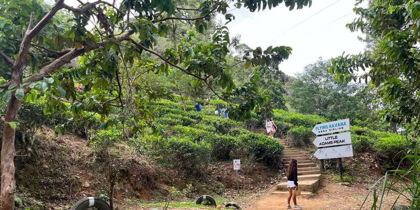 Discover the Best of Sri Lanka in 2 Days - A fast route through Sri Lanka’s central sights