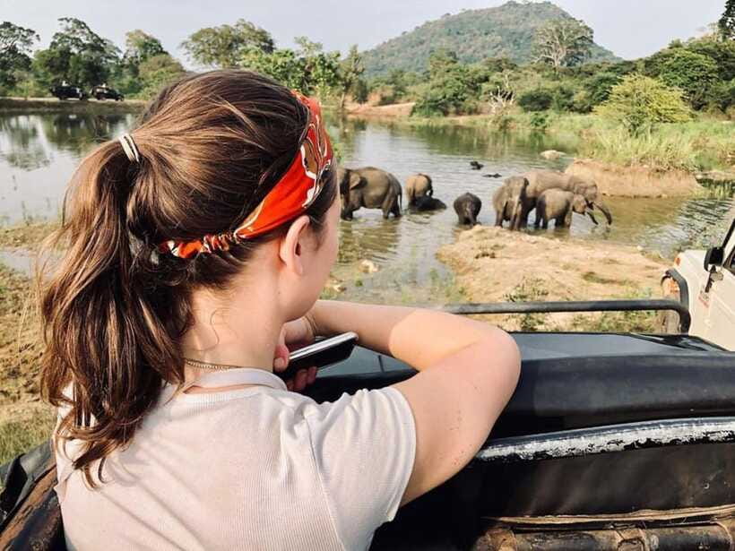 Elephant Kingdom Safari – Minneriya National Park - Finding elephants around Minneriya Tank