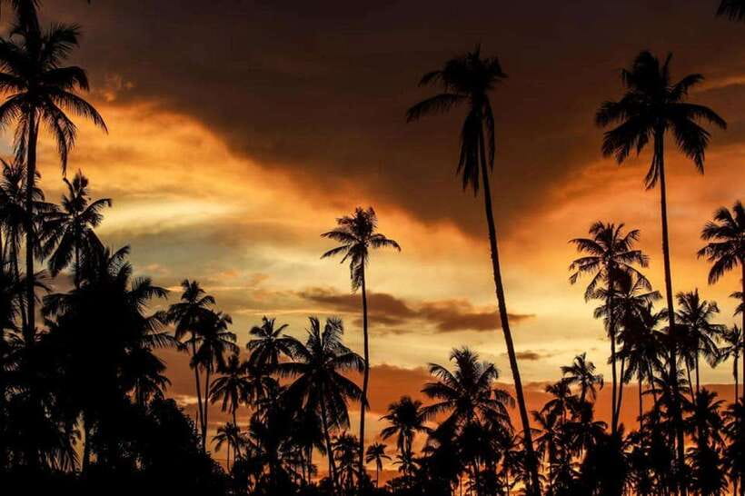 Ella: Adventure day trip to explore Ella by tuk tuk - Why this Ella day tour makes sense