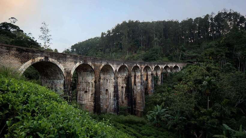 Ella Day Tour: with Tea Factory Visit from Colombo/Bentota - Key points to know before booking