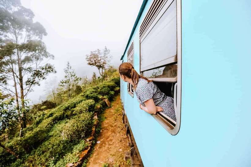 Ella Day Tour: with Tea Factory Visit from Colombo/Bentota - Nine Arch Bridge: Ella’s most photogenic stop