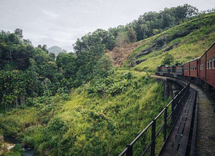 Ella Day Tour: with Tea Factory Visit from Colombo/Bentota - From the coast to Ella’s cool hills