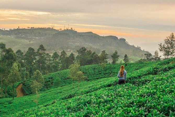 Ella Day Trip from Mirissa, Weligama, Galle, Hikkaduwa - Ravana Ella Falls in a quick 30 minutes