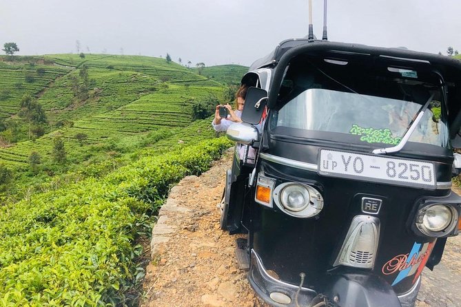 Ella Day Trip from Mirissa, Weligama, Galle, Hikkaduwa - What the driver adds, and what you must confirm