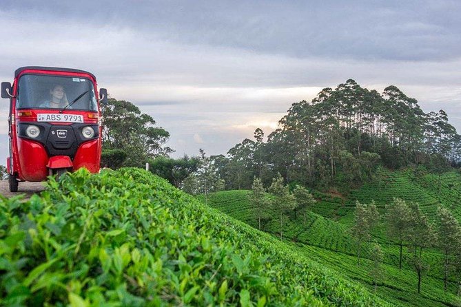 Ella Day Trip from Mirissa, Weligama, Galle, Hikkaduwa - Is $75 good value for this day?