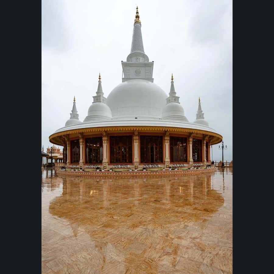 Ella: Drop to Tangalle/Hiriketiya/Mirissa/Galle & Yala Tour - What the $10 price really gives you