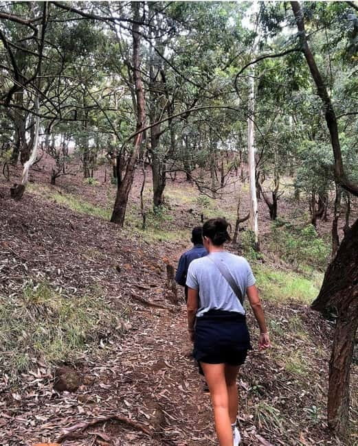 Ella: Ella Rock, 9 Arch, Little Adams Peak, & Waterfall Tour - The Demodara to Ella train is scenic but uncertain