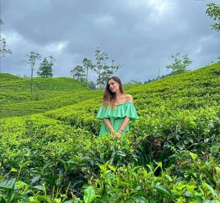 Ella: Ella Rock, 9 Arch, Little Adams Peak, & Waterfall Tour - Flying Ravana adds a serious burst of speed