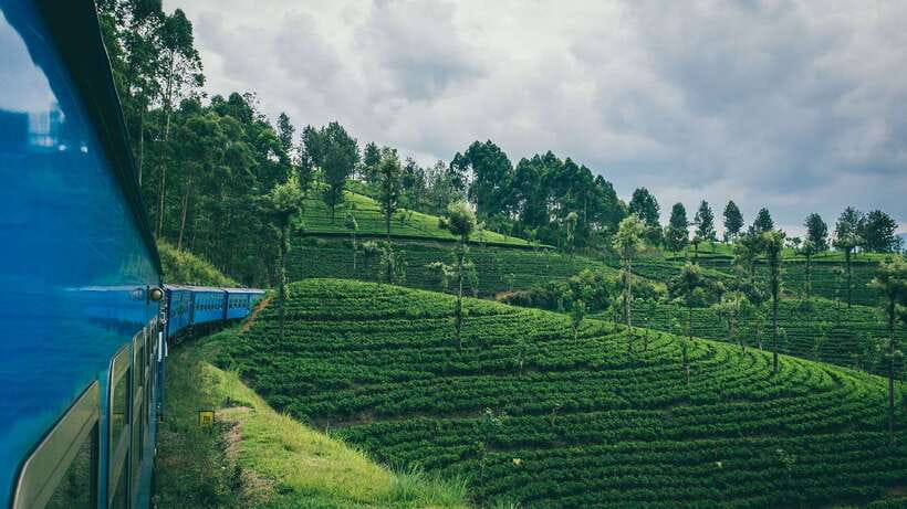 Ella: First Class Scenic Train Ticket To/From Nanuoya - Why this train ride matters in Sri Lanka