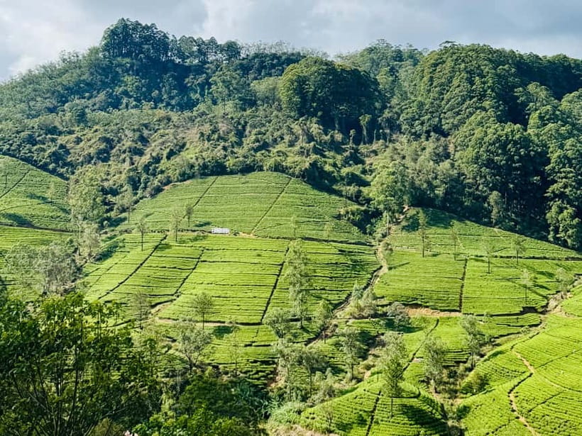 Ella Full-Day Tour from Mirissa/Ahangama/Hikkaduwa/Bentota - Why this Ella day trip requires a very early start
