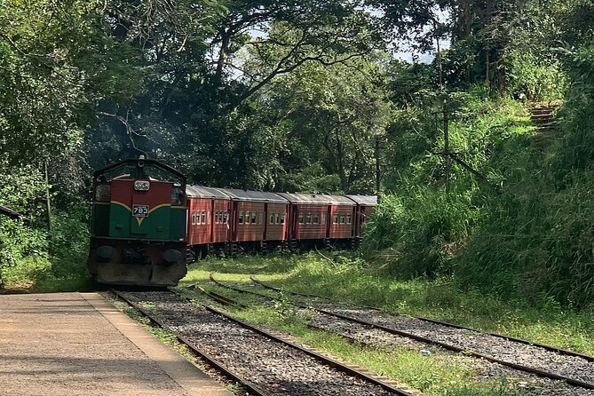 Ella Private Day Tour - Departing from Any Location in Sri Lanka - Why this private Ella day trip works