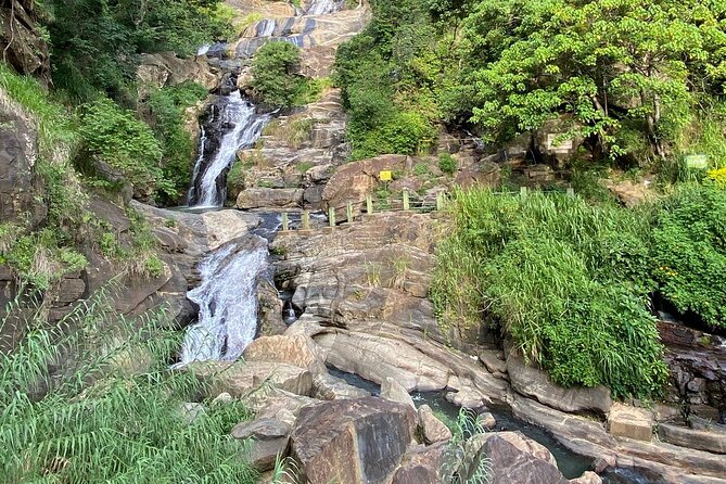 Ella Private Day Tour - Departing from Any Location in Sri Lanka - Tea country, with a chance to ask questions