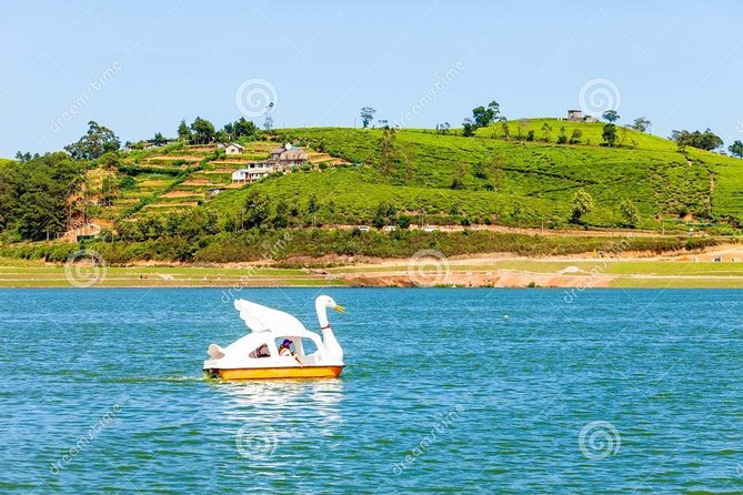 Ella Private Day Tour From Kandy - Damro Labookellie Tea Centre and Tea Garden