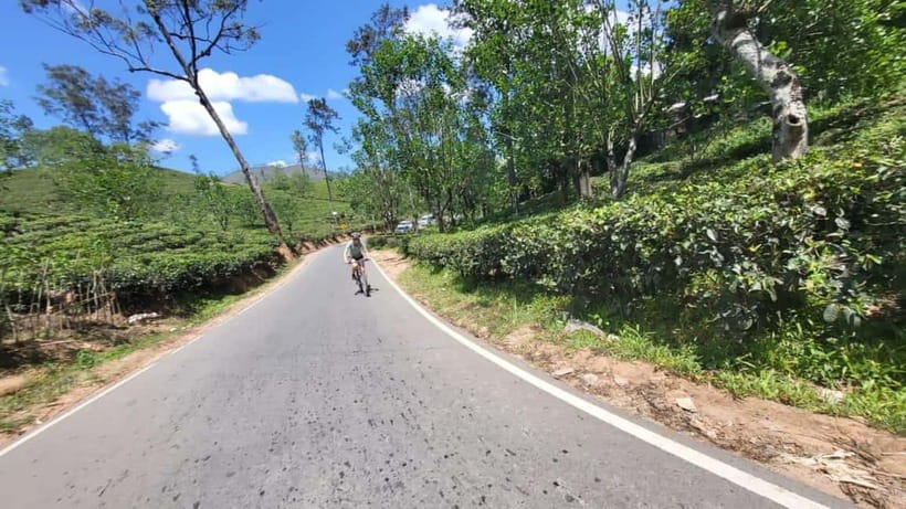 Ella, Sri Lanka Cycle Zone Bike Tour - Tea plantations and a local cup of Ceylon tea