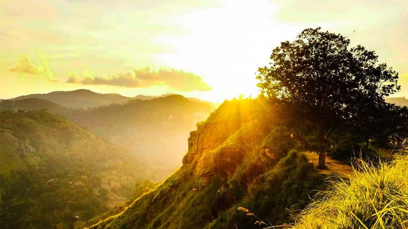 Ella: Sunset Tuk Tuk Tour with Little Adam's Peak Hike - The Tuk Tuk Ride Sets the Tone