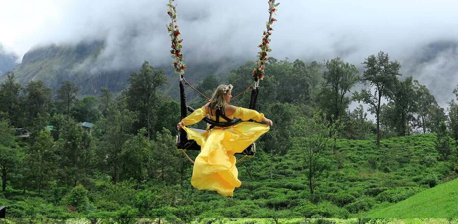 Ella Swing - The swing above tea country