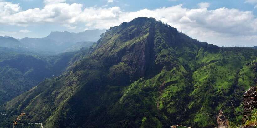 Ella: Tea Factory, Train, and Nine Arch Day Tour with Pickup - The 25-minute train ride brings the best views