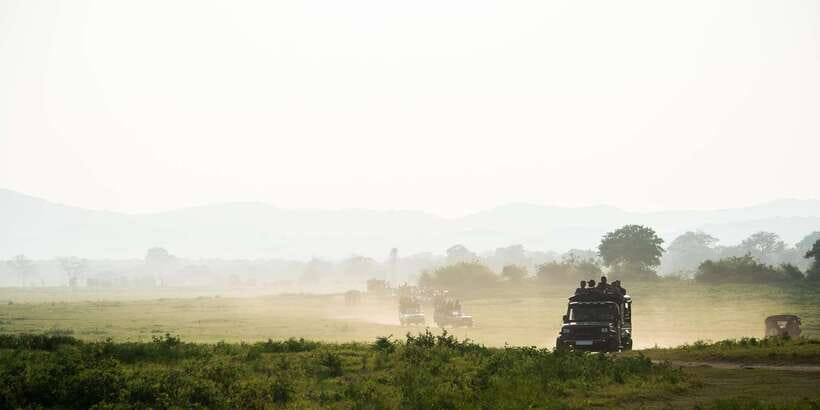 ELLA to TANGALLE/MIRISSA/GALLE Shuttle & YALA Safari - Why this Ella to Yala connection makes sense