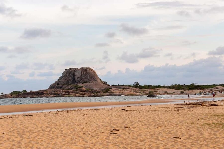 Ella: Transfer to Hikkaduwa & Yala Safari Tour - What you may see, and why luck still rules