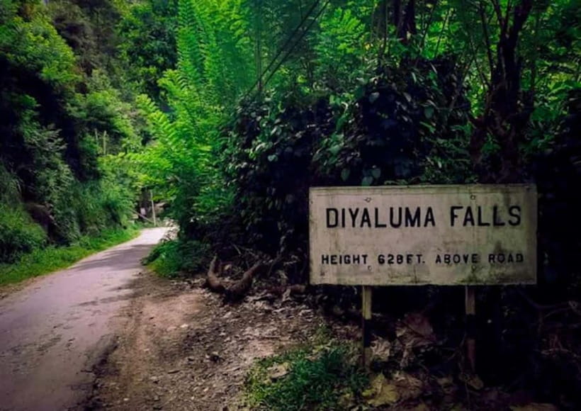 Ella: Tuk Tuk Tour to Diyaluma and Secret Waterfalls - Key points to know before booking